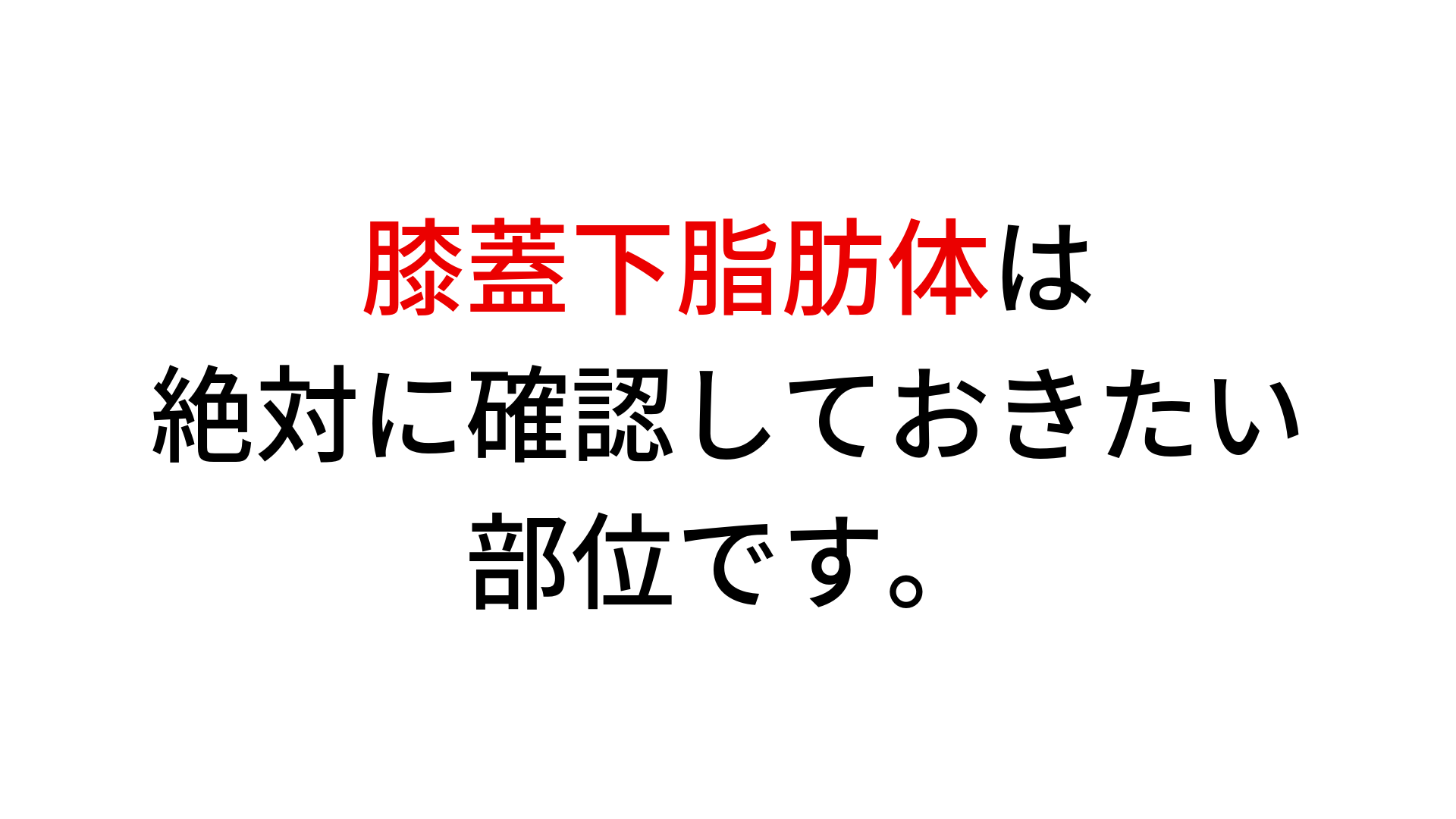 膝関節の痛みの原因となる 膝蓋下脂肪体のリハビリを理学療法士が解説 Physio Ch Net